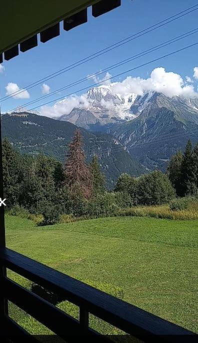 Face Au Mont Blanc - Le Bettex/st-gervais Apartment *